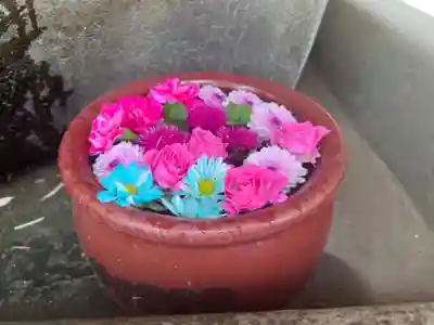 菅生神社の手水舎