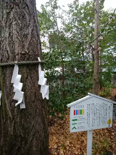 行田八幡神社(埼玉県)