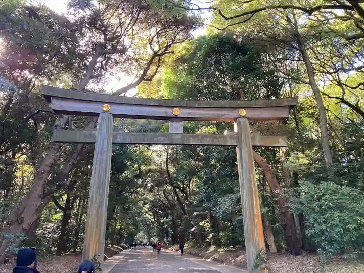明治神宮(東京都)