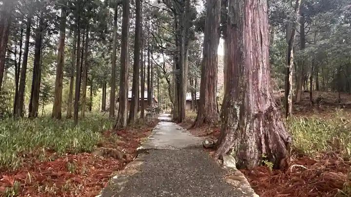 大森神社(兵庫県)