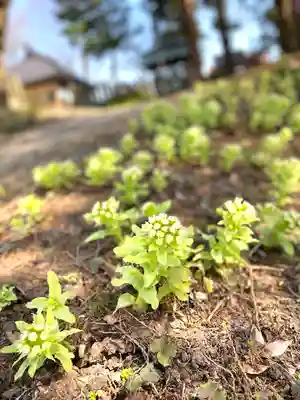 飯笠山神社(長野県)