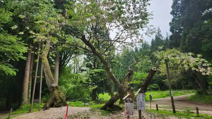 磐椅神社(福島県)