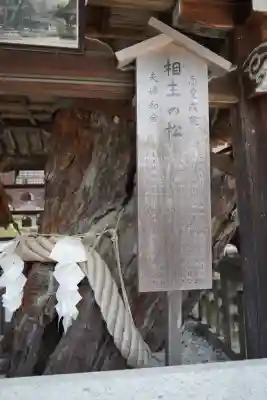 松尾大社(京都府)