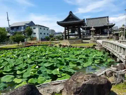 家原寺(大阪府)