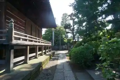 護国寺の本殿・本堂