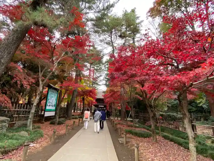平林寺(埼玉県)