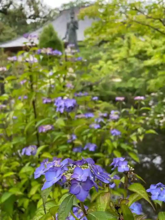 青龍山 吉祥寺(群馬県)