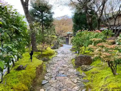 高台寺（高台寿聖禅寺・高臺寺）の庭園