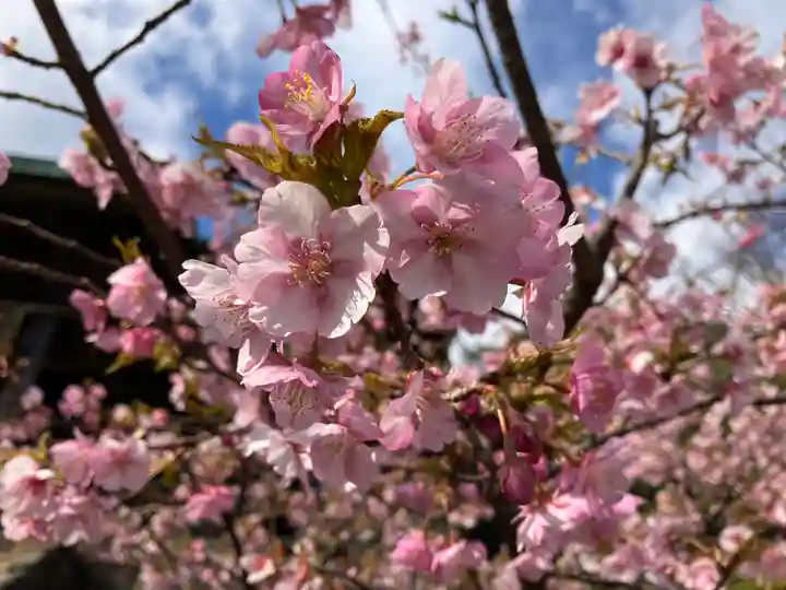 霊山寺(静岡県)