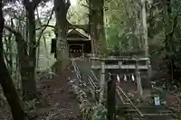 地主神社(桑の川の鳥居杉)(高知県)