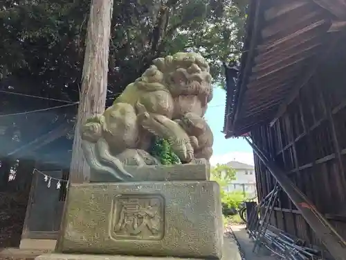 氷川神社の狛犬