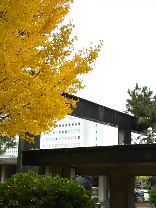 福井神社(福井県)