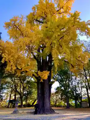 素盞嗚神社(広島県)