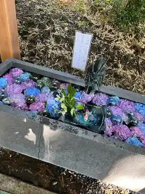 下野 星宮神社(栃木県)