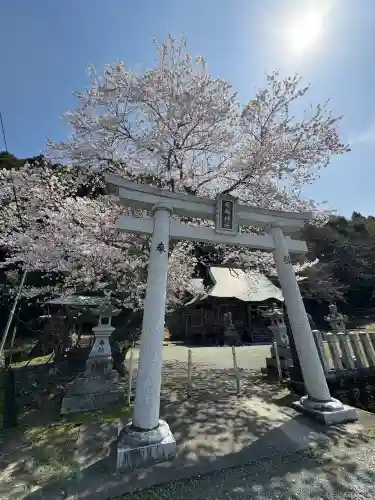 佐々井厳島神社の{uncategorized: "未分類", other: "その他", undefined: "問題あり", building: "その他建物", grave: "お墓", sacred_gate: "鳥居", guardian: "狛犬", statue: "像", buddha: "仏像", history: "歴史", nature: "自然", garden: "庭園", animal: "動物", pagoda: "塔", temizu: "手水舎", mountain_gate: "山門・神門", sanctuary: "本殿・本堂", subordinate: "末社・摂社", art: "芸術", scenery: "景色", jizo: "地蔵", ema: "絵馬", goshuin: "御朱印", omikuji: "おみくじ", items: "授与品その他", amulet: "お守り", goshuincho: "御朱印帳", eats: "食事", festival: "お祭り", votive_dance: "神楽", shichigosan: "七五三参", wedding: "結婚式", experience: "体験その他", initially: "初詣", around: "周辺", anti_infection: "感染症対策"}