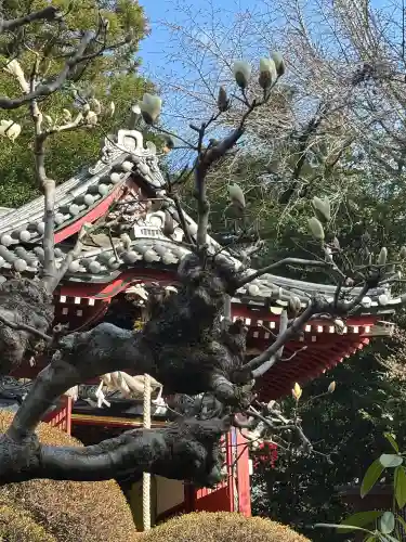 冠稲荷神社の{uncategorized: "未分類", other: "その他", undefined: "問題あり", building: "その他建物", grave: "お墓", sacred_gate: "鳥居", guardian: "狛犬", statue: "像", buddha: "仏像", history: "歴史", nature: "自然", garden: "庭園", animal: "動物", pagoda: "塔", temizu: "手水舎", mountain_gate: "山門・神門", sanctuary: "本殿・本堂", subordinate: "末社・摂社", art: "芸術", scenery: "景色", jizo: "地蔵", ema: "絵馬", goshuin: "御朱印", omikuji: "おみくじ", items: "授与品その他", amulet: "お守り", goshuincho: "御朱印帳", eats: "食事", festival: "お祭り", votive_dance: "神楽", shichigosan: "七五三参", wedding: "結婚式", experience: "体験その他", initially: "初詣", around: "周辺", anti_infection: "感染症対策"}