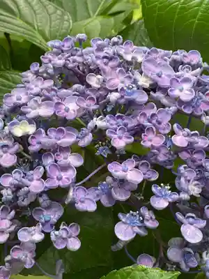 久安寺(大阪府)