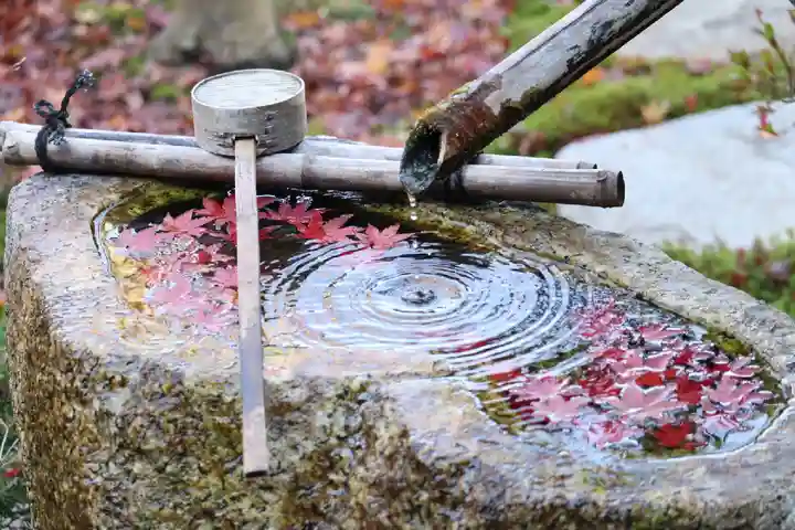 正寿院の手水舎