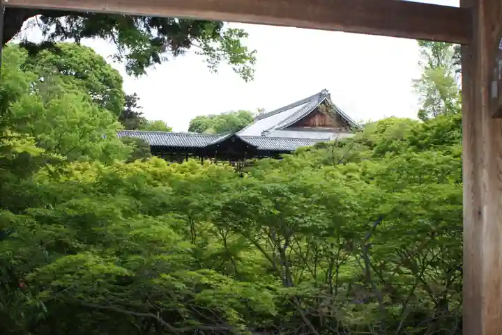 東福禅寺(東福寺)(京都府)