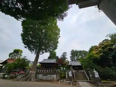 瀧宮神社(埼玉県)