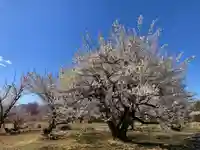 八幡社(小田原市曽我別所)(神奈川県)