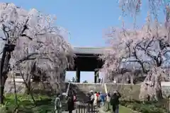 東郷寺の建物その他