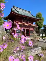 徳性寺(埼玉県)