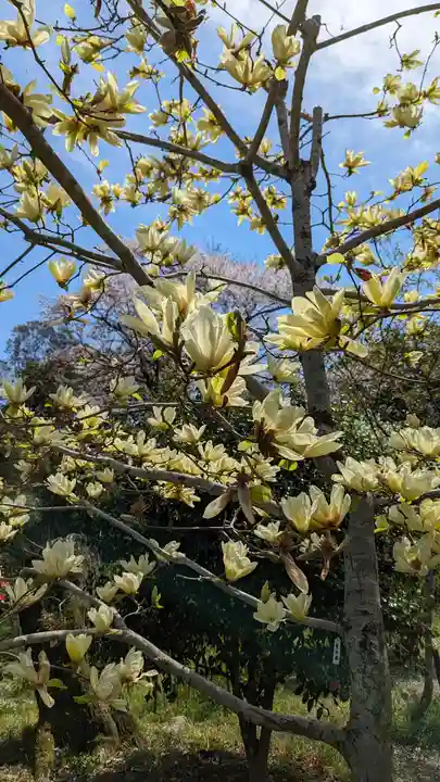 惠心院(京都府)