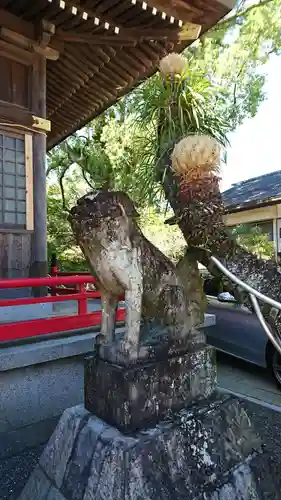 本渡諏訪神社の狛犬