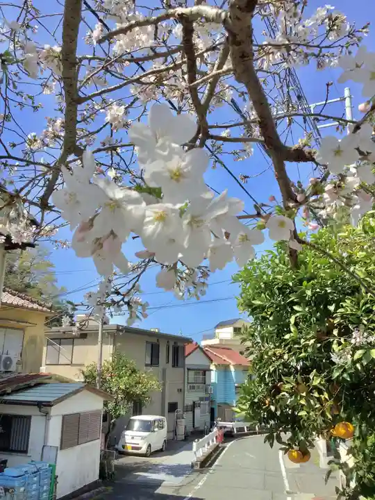 實相山 正法院(静岡県)