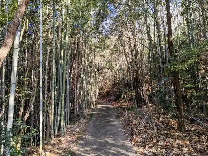 野間山神社の周辺