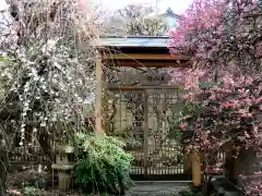 小村井 香取神社の庭園