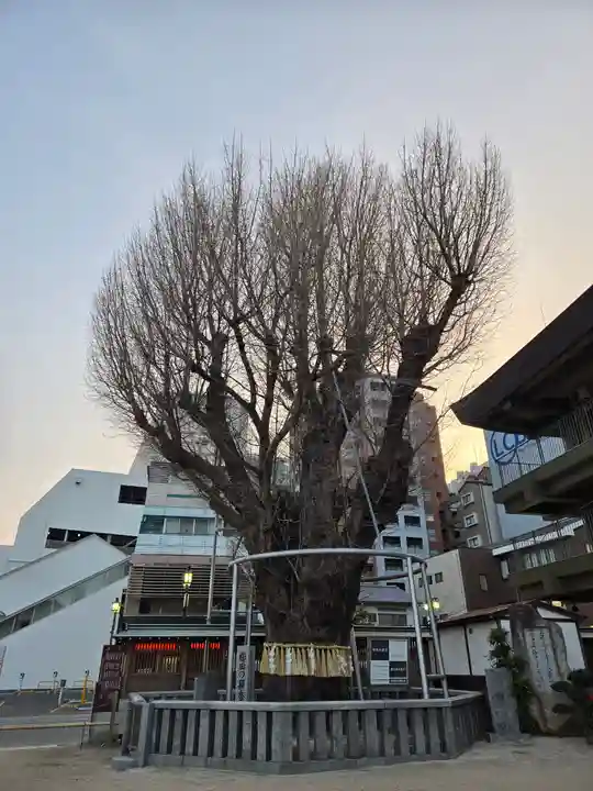 櫛田神社(福岡県)