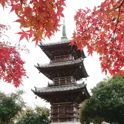 徳正寺のその他建物
