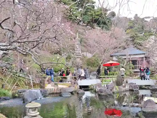 長谷寺の庭園