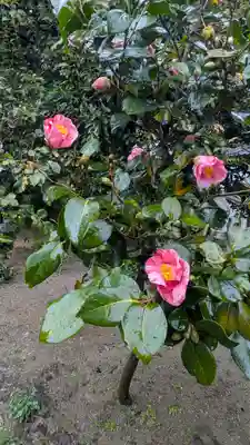 城南宮(京都府)