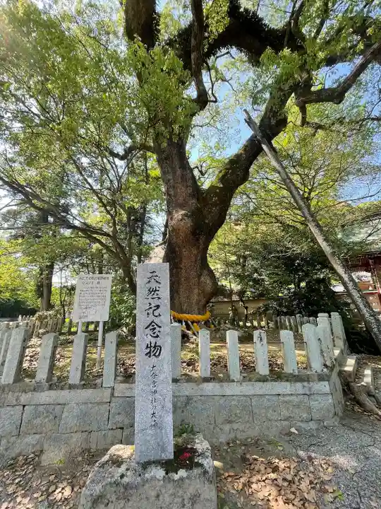 大分八幡宮の自然