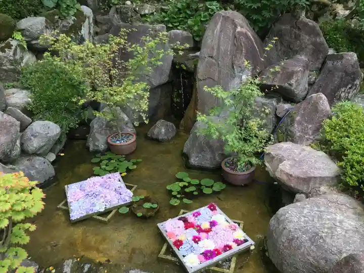 岡寺(龍蓋寺)の庭園