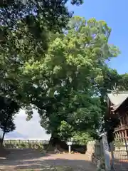 八幡大神社(愛媛県)