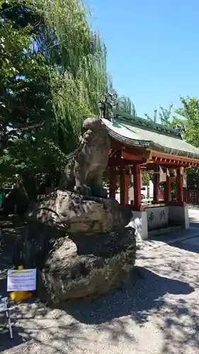 浅草神社の狛犬