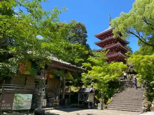 竹林寺(高知県)
