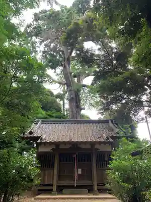 八雲神社(千葉県)