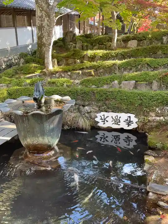 永源寺(滋賀県)