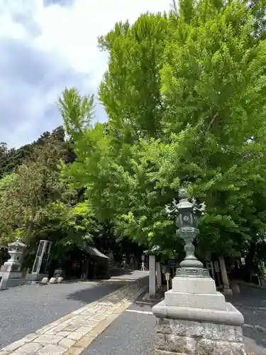 熊野大社(山形県)