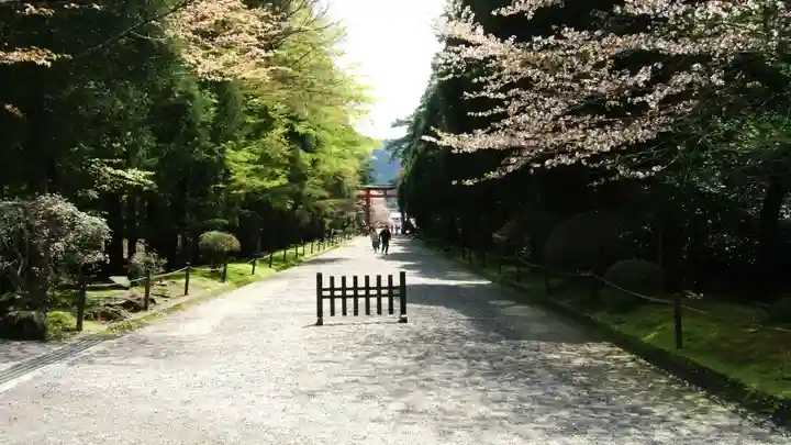 霧島神宮(鹿児島県)