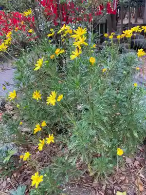 平塚八幡宮(神奈川県)