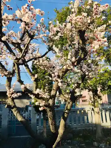 朝日氷川神社の庭園