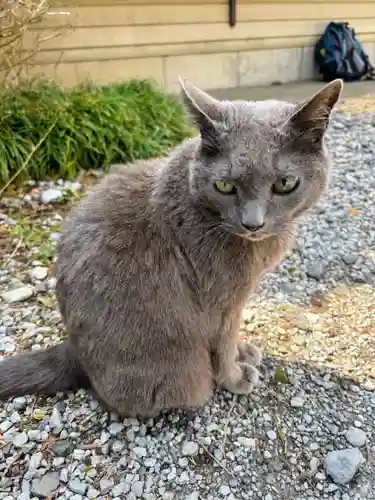 佐野赤城神社(栃木県)