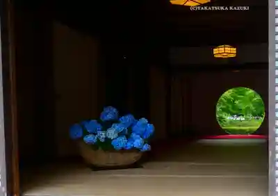 明月院(神奈川県)