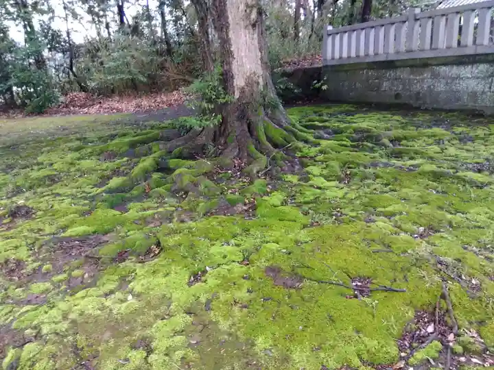 八日市普活廼神社(福井県)